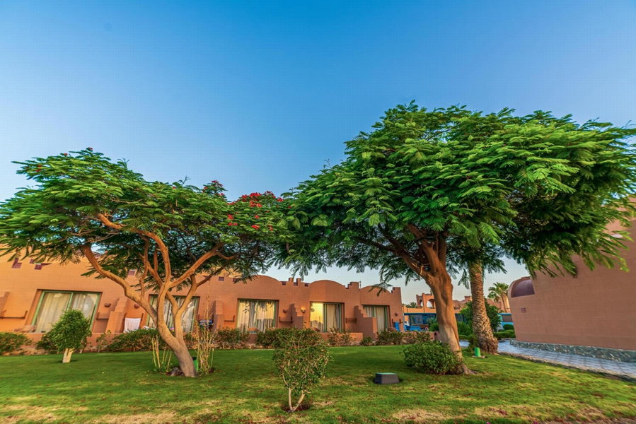 Akassia Swiss Resort, Al Qusayr, Égypte