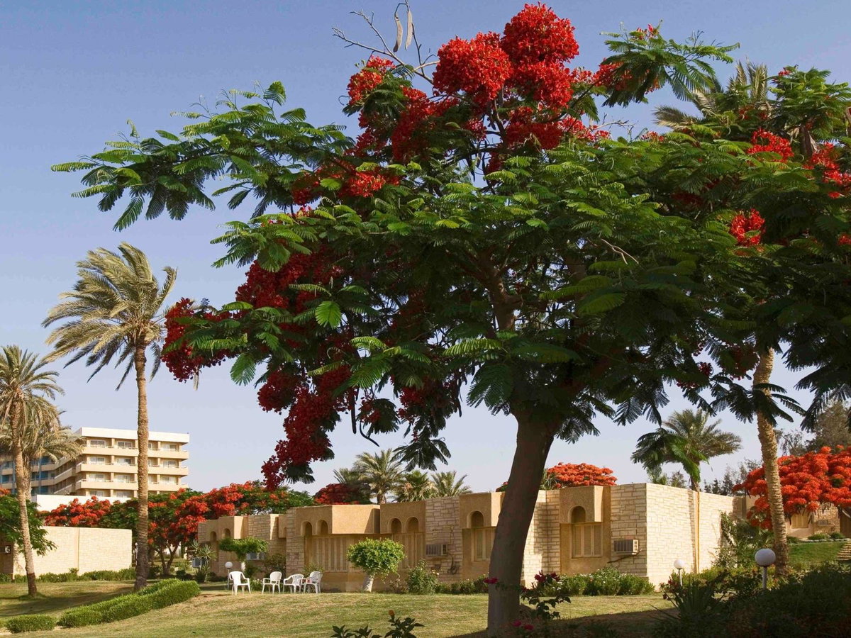 Hotel · Mercure Ismailia Forsan Island, Ismailia