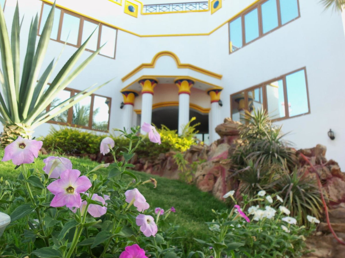 Hotel · Gafy Resort Aqua Park, Sharm El-Sheikh