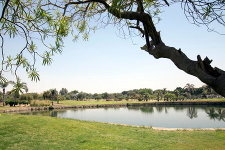 Swiss Inn Pyramids Golf Resort, Ash-Shaykh Zayid, Égypte