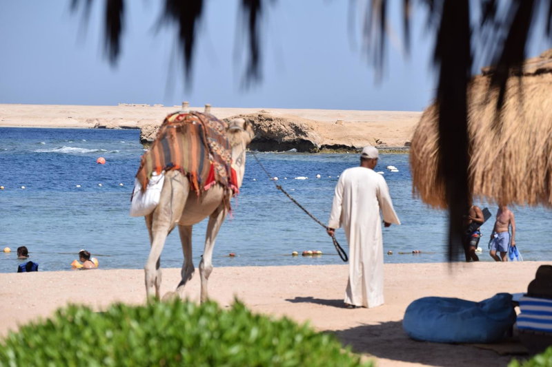 Sharm El Naga Resort and Diving Center, Safaga, Ägypten