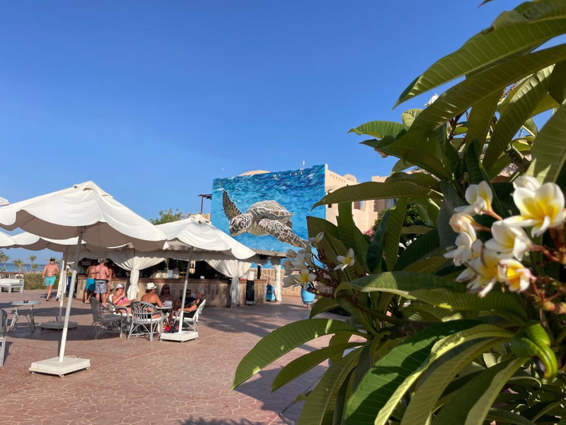 Dream Lagoon Resort & Aqua Park, Marsa Alam City, Egipto