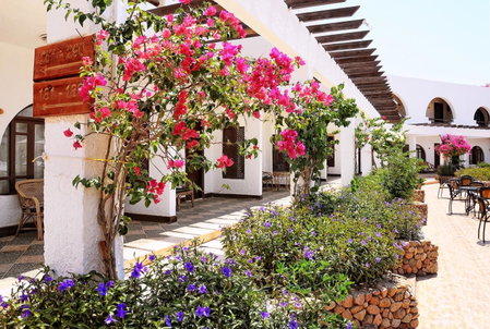 Aida Hotel Sharm El Sheikh, Sharm El Sheikh, Egypt