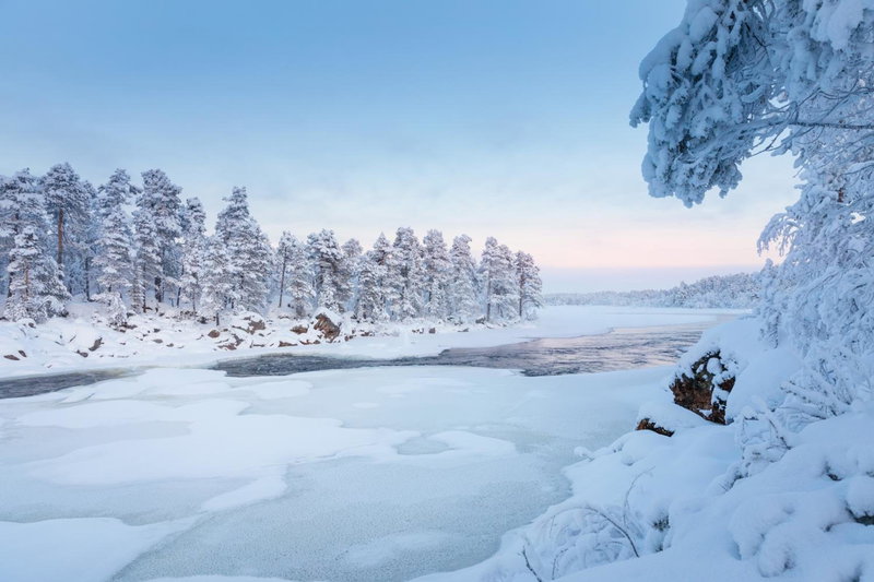 Wilderness Hotel Juutua, Inari, Finlandia