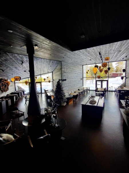 Arctic TreeHouse Hotel, Rovaniemi, Финляндия