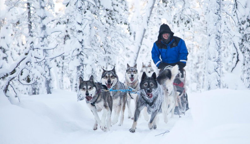 Wilderness Hotel Inari & Igloos, Inari, Finlandia