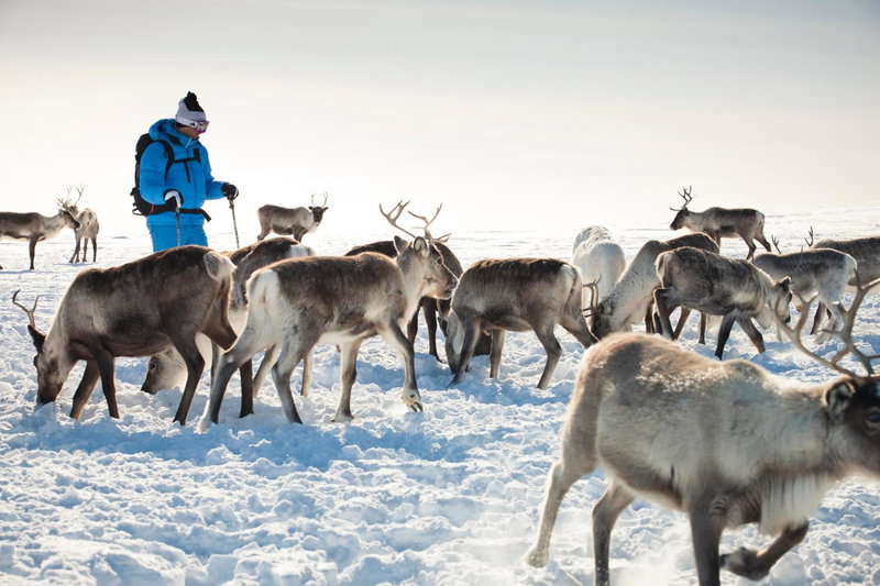Star Arctic Hotel & Activities, Saariselka, Finlandia