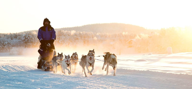 Northern Lights Village Levi, Kittila, Finlandia