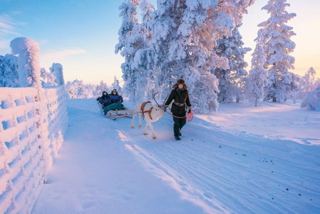 Star Arctic Hotel & Activities, Saariselka, Finlandia