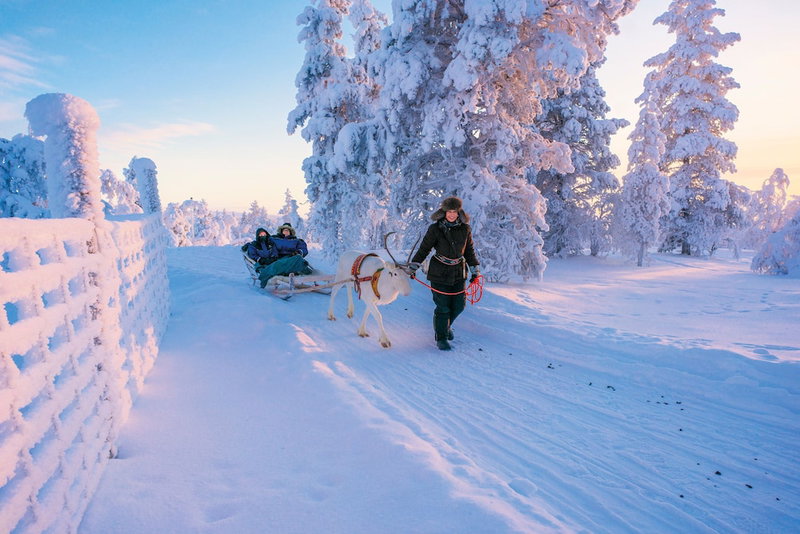 Star Arctic Hotel & Activities, Saariselka, Finlandia