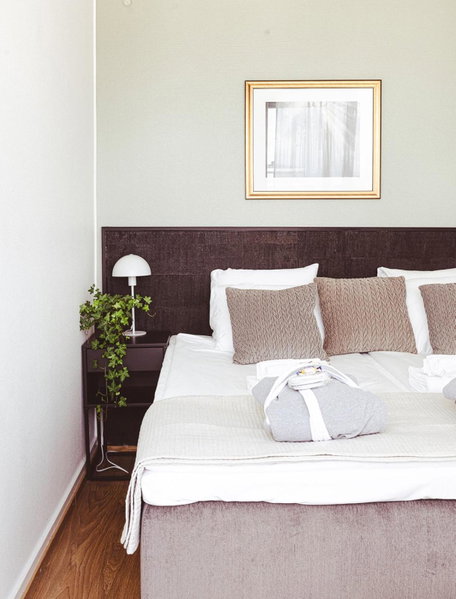 Hotel Emilia, Haemeenlinna, Finland