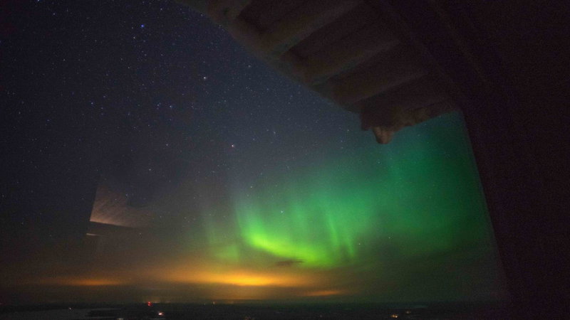 Arctic Giant, Paltamo, Finland
