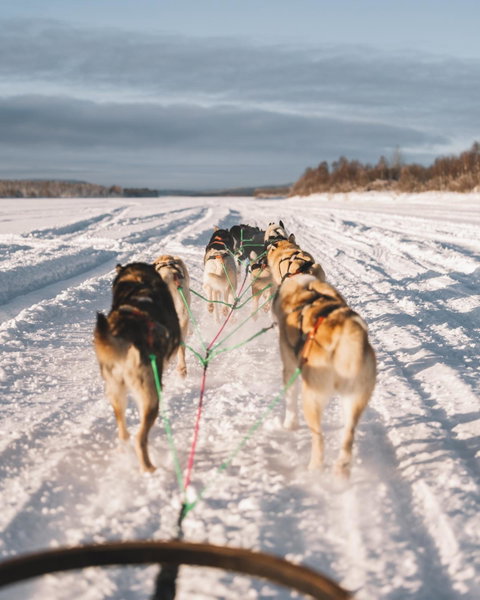 Nova Galaxy Village, Rovaniemi, Финляндия