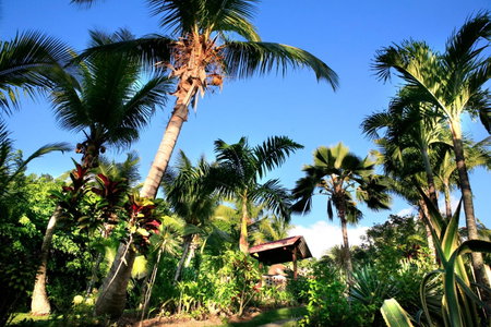 Habitation Grande Anse Résidence hôtelière, Deshaies, Guadeloupe