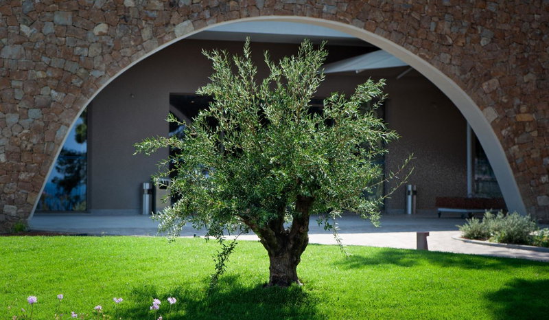 Vincci EverEden, Vari, Grecia