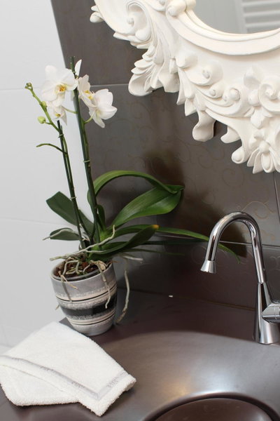 Boutique Hotel Vela Vrata, Buzet, Croatia