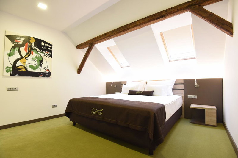 Hotel Castellum, Cakovec, Croatia