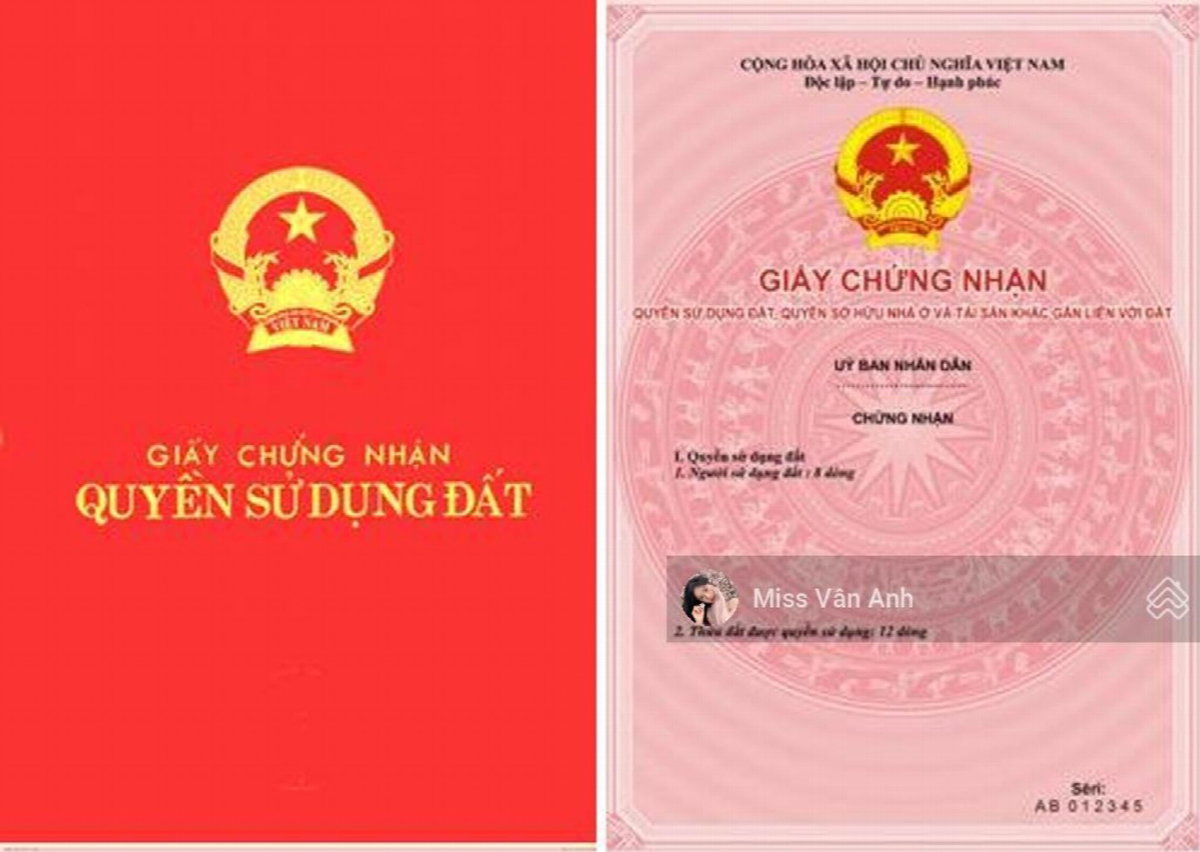 My Dinh II Project, Vietnam