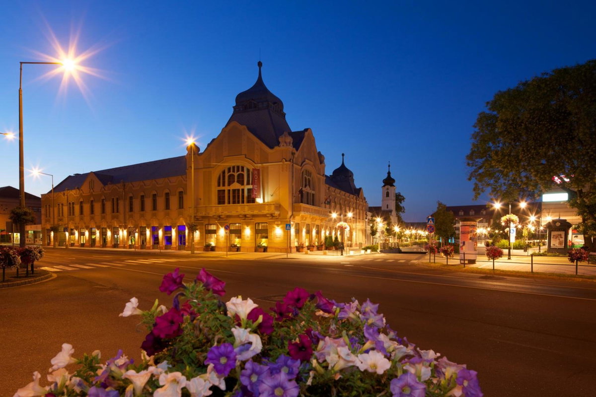 Hotel · Erzsébet Királyné Szálloda, Godollo