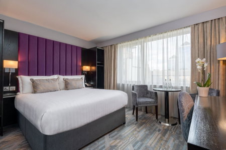 The Trinity City Hotel, Dublin, Ирландия