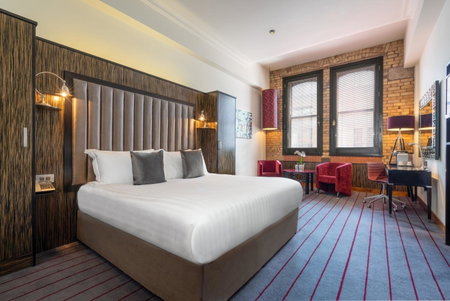 The Trinity City Hotel, Dublin, Ирландия