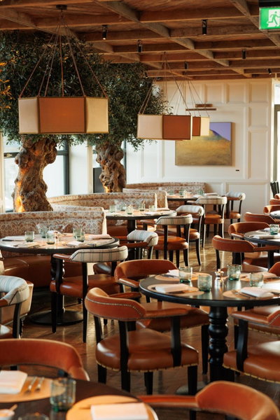 The Leinster, Dublin, Irland
