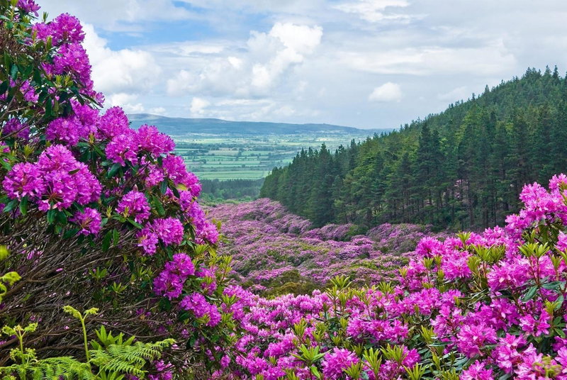 Cahir House Hotel, Cluain Meala, Irlande