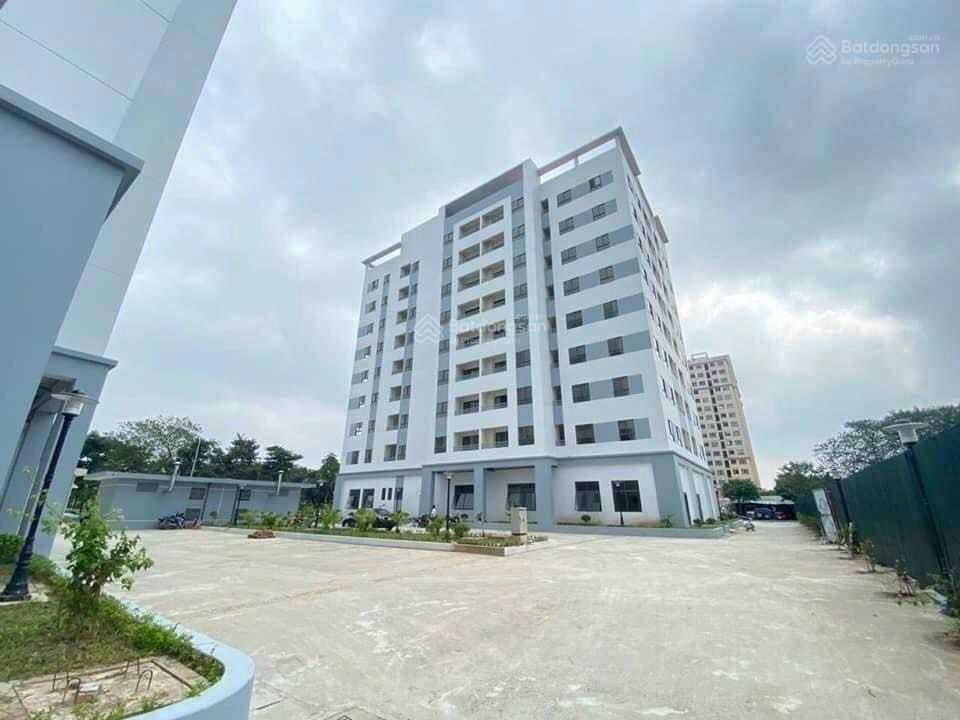 Sai Dong Project, Vietnam