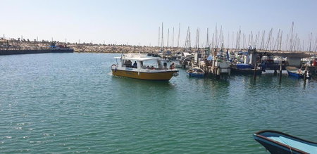 Rotem Suite in MARINA ASHKLON, Ashkelon, Israel