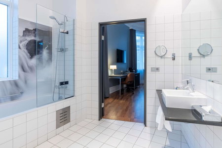 Radisson Blu 1919 Hotel, Reykjavík, Reykjavík, Islande