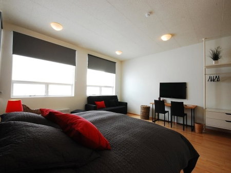 Volcano hotel, Vik I Myrdal, Исландия