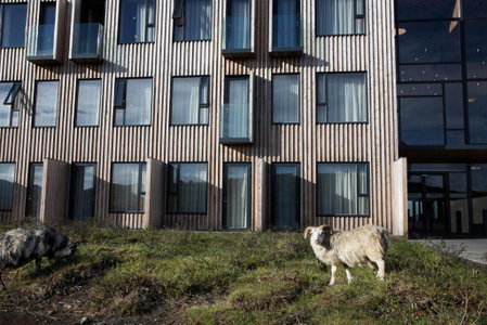 Fosshotel Mývatn, Myvatn, Iceland