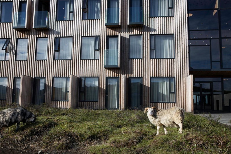 Fosshotel Mývatn, Myvatn, Iceland