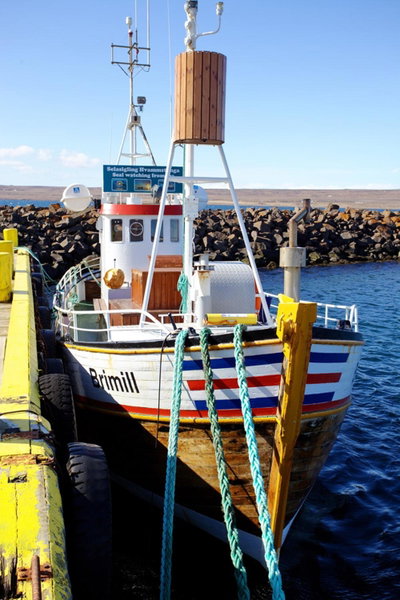 ALBERT Guesthouse, Hvammstangi, Iceland