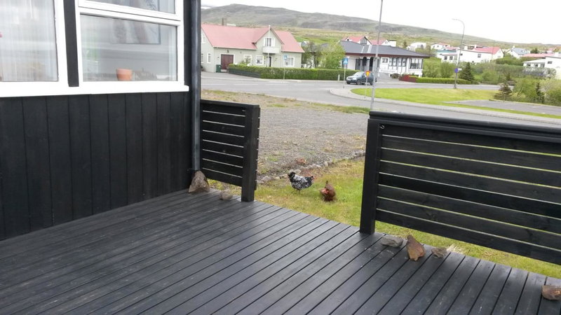 ALBERT Guesthouse, Hvammstangi, Iceland