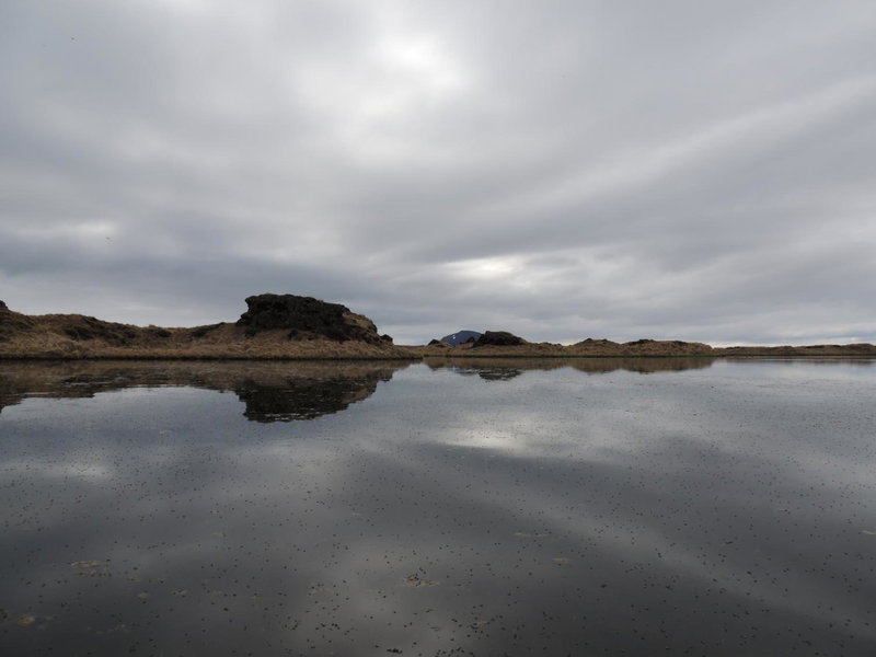Dimmuborgir Guesthouse, Myvatn, Исландия