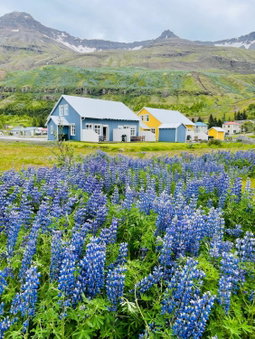 Lónsleira Apartments, Seyðisfjörður, Iceland