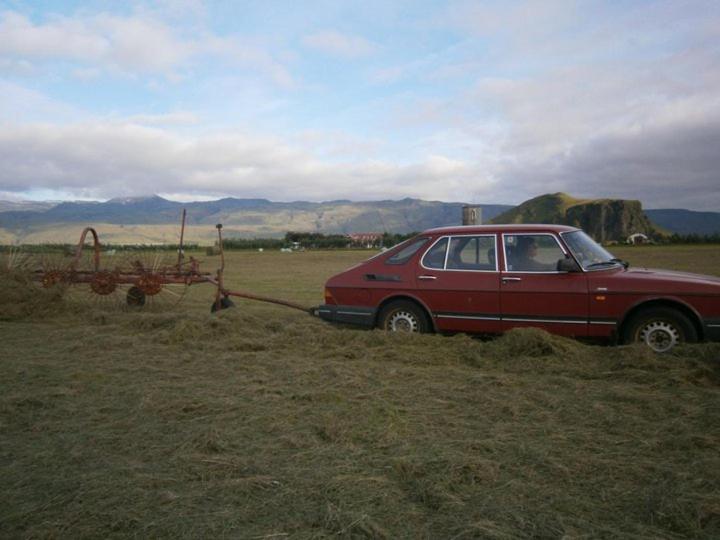 Rauðuskriður farm, Hólmabæir, Исландия