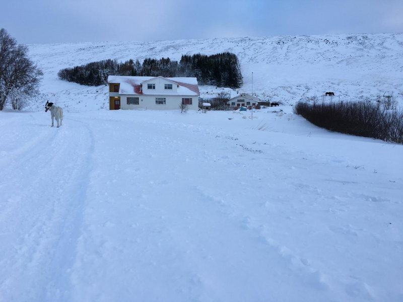 Öndólfsstaðir Farm B&B, Laugar, Исландия