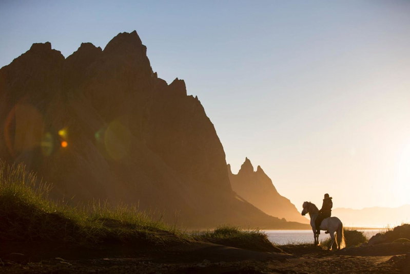 Vikingcafe, Höfn, Исландия