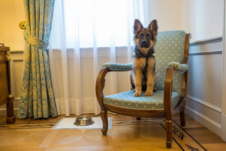 Due Torri Hotel, Verona, Italie
