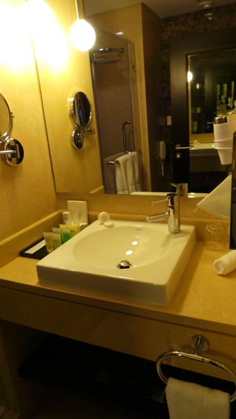 Amman Airport Hotel, Al Qasţal, Jordan