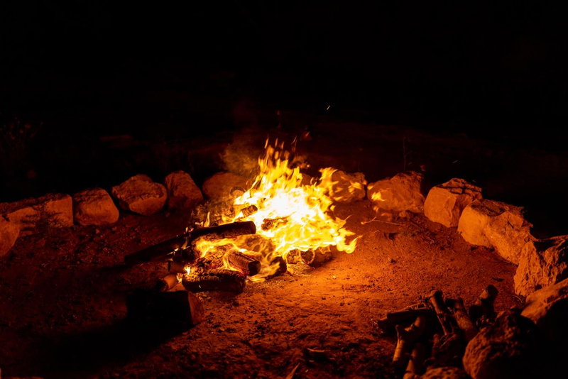 The Rock Camp Petra, Wadi Musa, Иордания