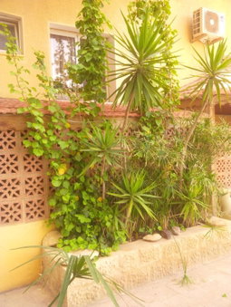 Mariam Hotel, Madaba, Jordan