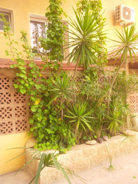 Mariam Hotel, Madaba, Jordan