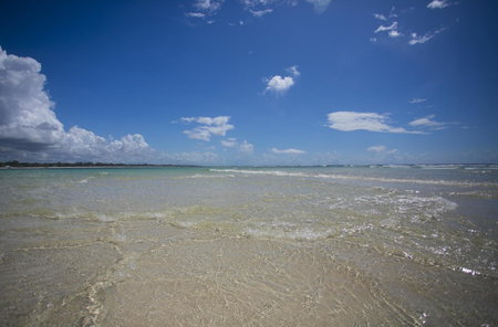 Diani Sea Resort - All Inclusive, Diani Beach, Kenia