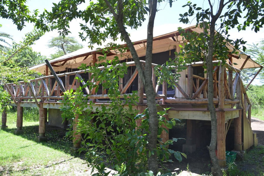 Neptune Mara Rianta Luxury Camp - All Inclusive., Masai Mara, Кения