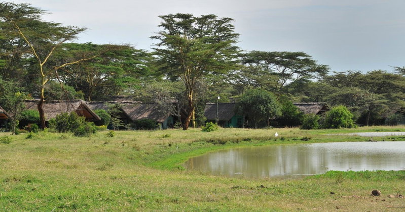 Sweetwaters Serena Camp, Nanyuki, Kenya