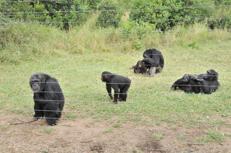 Sweetwaters Serena Camp, Nanyuki, Kenya