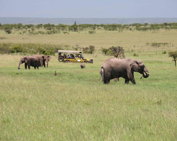 Olare Mara Kempinski, Masai Mara, Кения